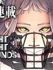 精灵纪元 动漫 2026
